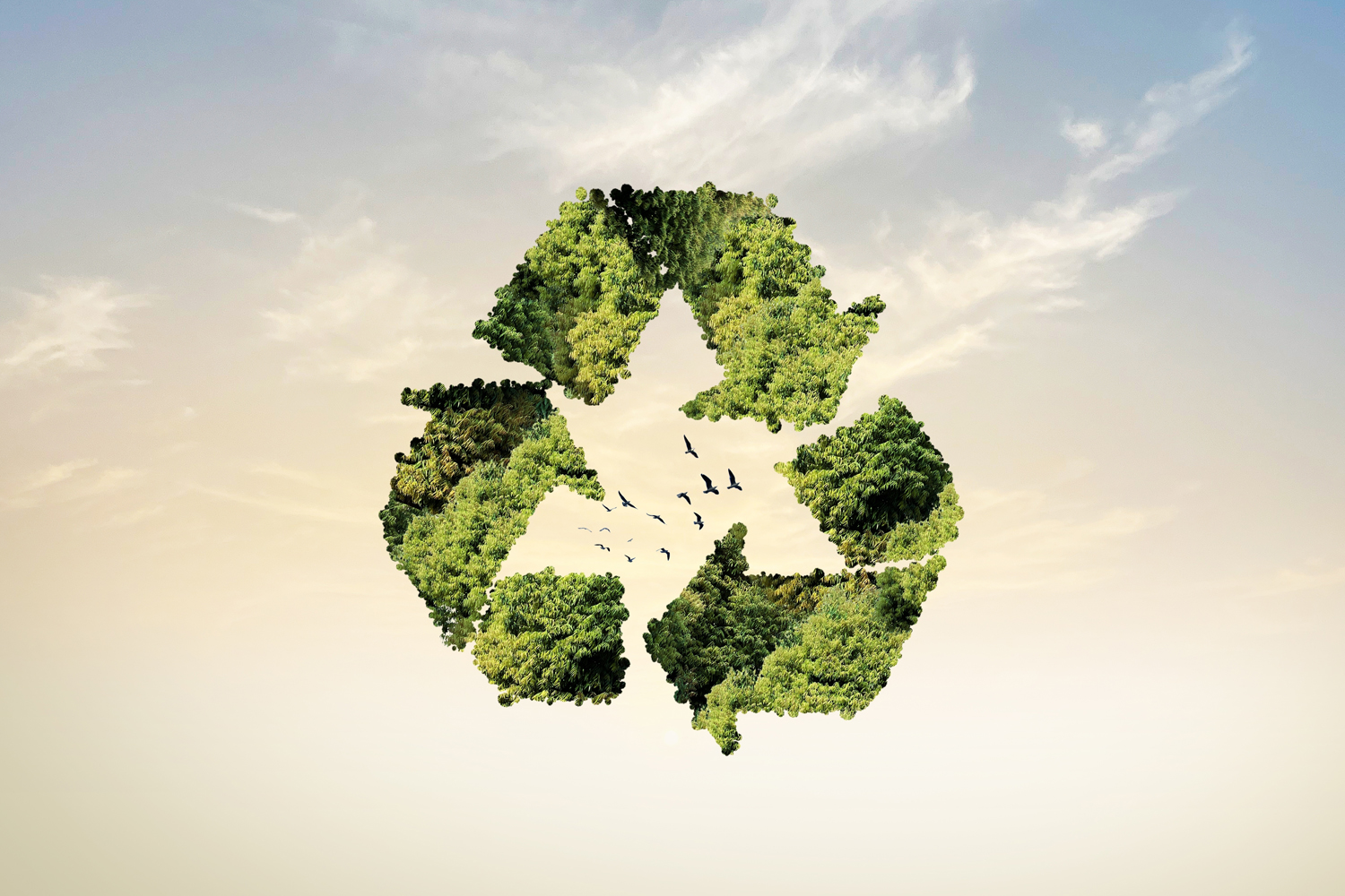 Free - Brand new Environmental Education Facility