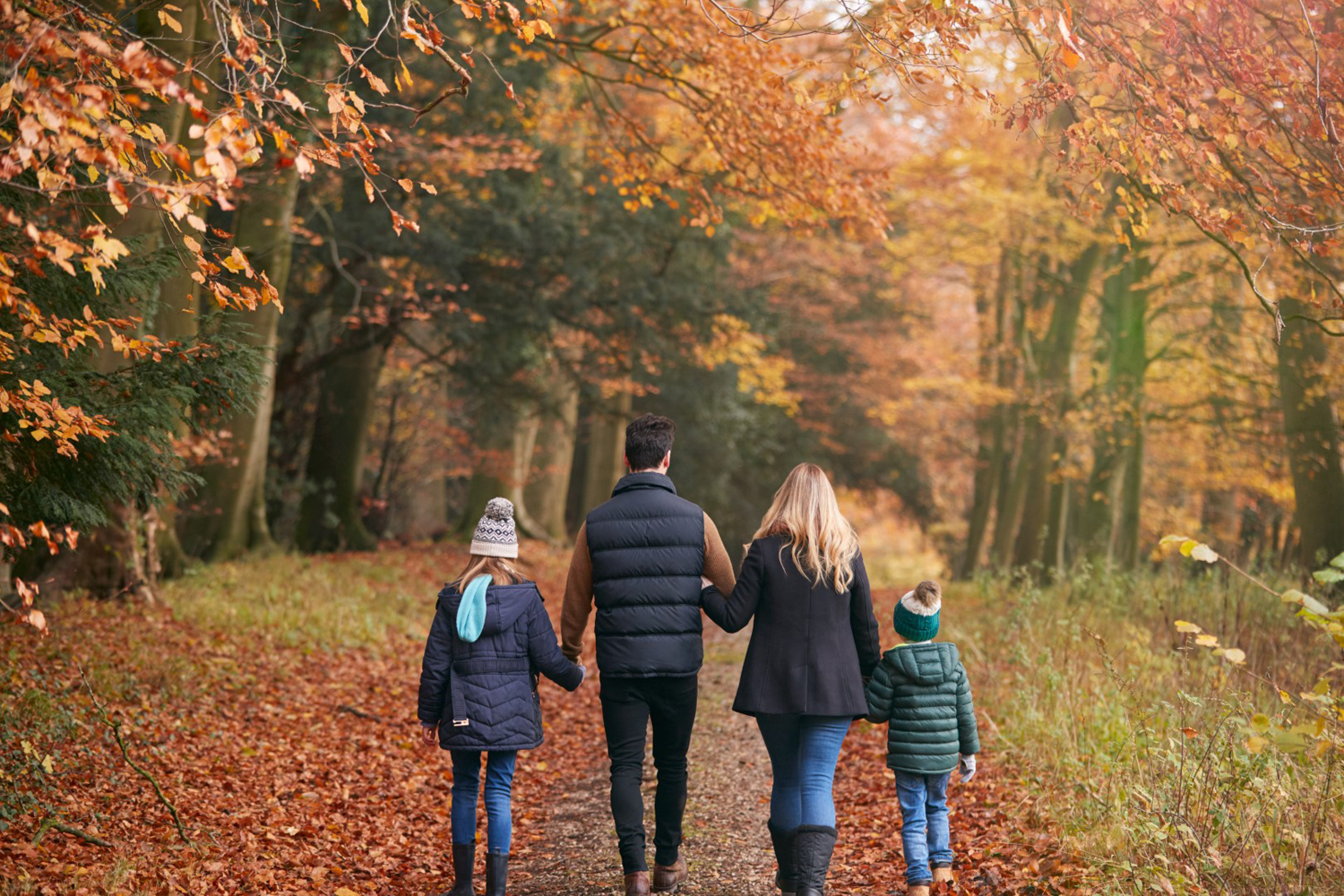 Bee Active - Walking Group July to October 2026